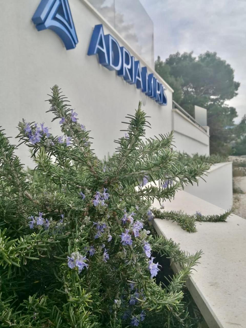 דרזניצה Adria Miris Apartments מראה חיצוני תמונה